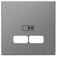 Лицевая панель Schneider Electric Merten D-Life для 2-м. розетки USB сталь картинка